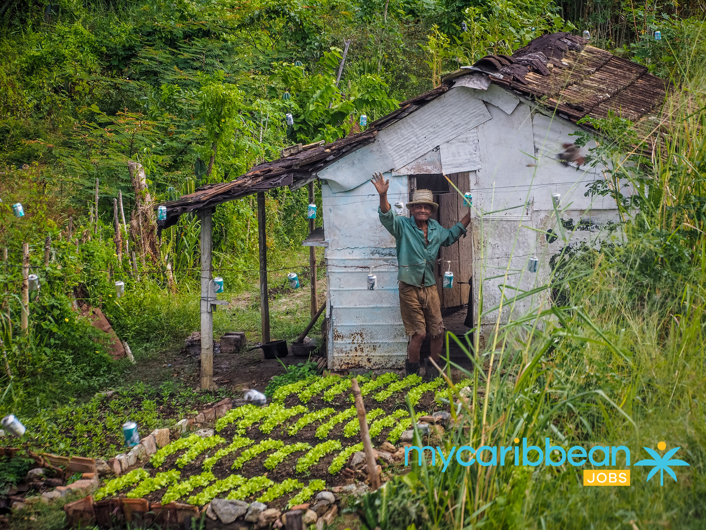 sustainable careers in the Caribbean CaribbeanEmployment